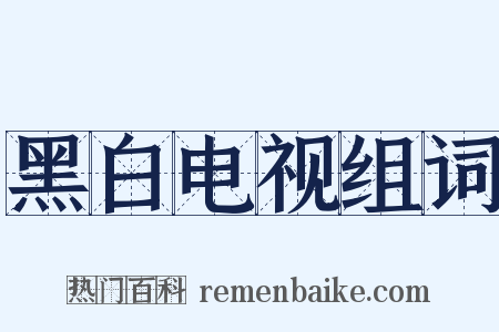 黑白电视组词是什么意思的图片